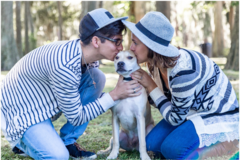 Request Quote: Pet Photography with Katrina Poggio - Atlanta, GA