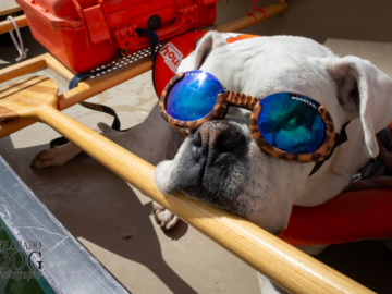 This was my rescued pup, Harley, in my expedition canoe. Admiral Harlesy was one of many nicknames. 