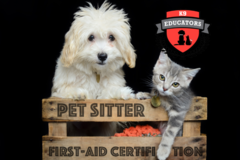 Request Quote: K9 Educators - Pet First Aid Training - Westminster, CO - Nationwide