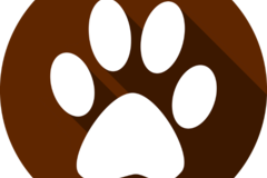 Request Quote: Anderson Acres Pet Care & Transportation - Bakersfield, CA