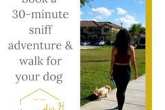 Request Quote: Always Aja H. Dog Walking and Pet Sitting - Hialeah Gardens, FL