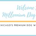Millennium Dog Walkers and In Home Dog Sitters - Chicago, IL