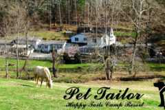 Request Quote: Pet Tailor - Pet Boarding - Castleton, VA