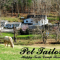 Pet Tailor - Pet Boarding - Castleton, VA