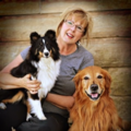 Dog Obedience Training School LLC  - Lamar, MO