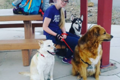 Request Quote: Keelin’s Dog Boarding - Las Vegas, NV