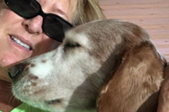 Request Quote: Purrfection Pet Care - Pet Sitting Service - Gilroy, CA