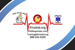 Request Quote: Pet First Aid and Pet CPR Training  - Nationwide
