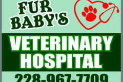 Request Quote: Fur Baby's Mobile Vet Care  - Biloxi, MS