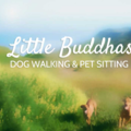 Little Buddhas Dog Walking & Pet Sitting Services - San Francisco, CA