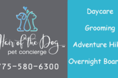 Request Quote: Hair of The Dog Pet Concierge - Pet Boarding - Stateline, NV