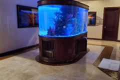 Request Quote: Aquarium Designs, Setup, Maintenance - Aquarium Services - Las Vegas, NV