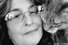 Request Quote: PAWright Pet Services - Soddy Daisy TN - Soddy-Daisy, TN