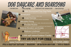Request Quote: Canines Unleashed - Dog Daycare and Boarding - San Diego, CA