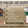 Canines Unleashed - Dog Daycare and Boarding - San Diego, CA
