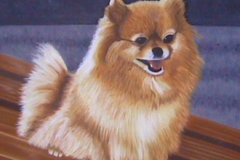 Request Quote: Linda's Pet Portraits - Nationwide
