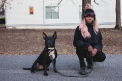 Request Quote: The Mischievous Mutt - Doggie Daycare and Boarding - Atlanta, GA
