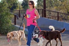 Request Quote: Reigning Cats and Dogs In Home Pet Sitting Service  - Tucson, AZ