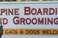 Request Quote: Alpine Pet Boarding & Grooming LLC - Warrensburg, MO