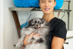 Request Quote: Doggy Dental Care - New York, NY