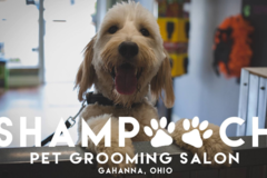 Request Quote: Shampooch Gahanna - Pet Grooming - Gahanna, OH