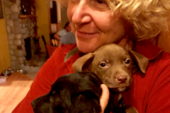 Request Quote: Ren's Dog Walking & Pet Sitting - Issaquah, WA