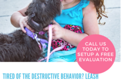 Request Quote: Sit Means Sit Fort Worth - Private Dog Training Service - Fort Worth, TX