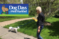 Request Quote: Dog Days of West Hartford - In Home Pet Sitting - Hartford, CT