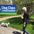 Dog Days of West Hartford - In Home Pet Sitting - Hartford, CT