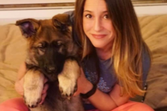 Request Quote: Rise Up Reiki for Animals & Humans - Havertown, PA