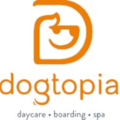 Dogtopia Dog Daycare and Boarding - Grand Rapids, MI