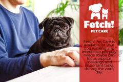 Request Quote: Fetch! Pet Care - Dog Walking and Pet Sitting - Orland Park, IL