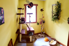 Request Quote: Dogz & Katz Luxury Pet Boarding - Belle Plaine, MN