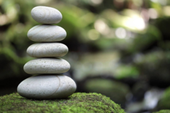 Request Quote: Animal Reiki Blessings from the Heart  - Nationwide