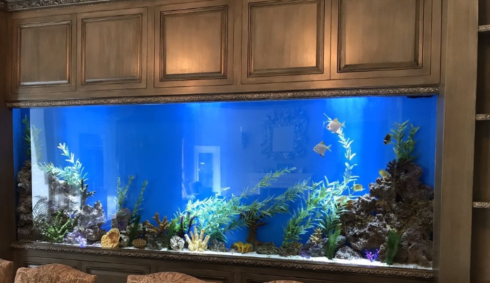 Professional Aquarium Services in Los Angeles