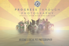 Request Quote: Social Pet Photography with a mission  - Tempe, AZ