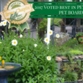 Carolina Pet Resort - Pet Boarding and Pet Grooming - Columbia, SC