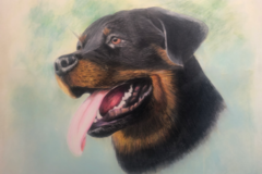 Request Quote: PetForevermore - Professional Pet Portrait Artist - Dothan, AL - Nationwide