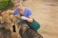 Request Quote: Golden Light Animal Reiki Healing - Nationwide