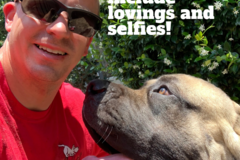 Request Quote: Call of Dooty - Pet Waste Removal Services - North Augusta, SC