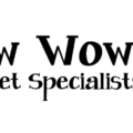 Bow Wow Boys Pet Specialists - In Home Dog Sitting - New York, NY