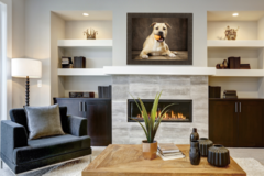 Request Quote: DelaFoto Portraits - Pet Photographer - Denver, CO