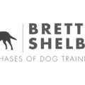 Brett Shelby Professional Private Dog Training - Englewood, NJ