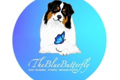 Request Quote: The Blue Butterfly Dog LLC - Professional Dog Trainer - Sussex, NJ
