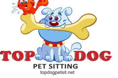 Request Quote: Top Dog Pet Sitting & Dog Walking Service - Benbrook, TX