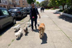 Request Quote: AWROOF! Pet Concierge - San Francisco, CA
