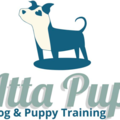 Atta Pup - Private Puppy Training - Multi-Certified - Hagerstown, MD