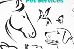 Request Quote: All In The Family In Home Pet Sitting Services - Queen Creek, AZ