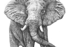 Request Quote: Arts and Prints By David - Etsy Pet Portrait Artist - Los Angeles, CA