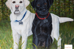 Request Quote: Haute Dauge Pet Portraits - Nationwide